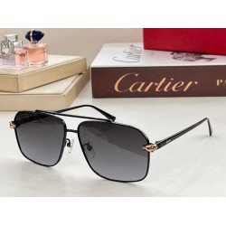 Cartier sunglasses