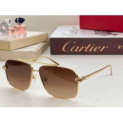 Cartier sunglasses