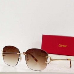 Cartier sunglasses