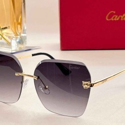 Cartier sunglasses