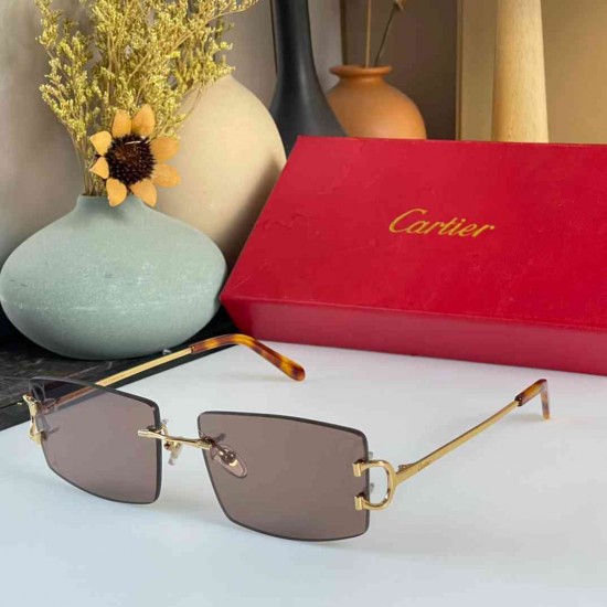 Cartier sunglasses