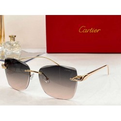 Cartier sunglasses