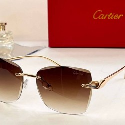 Cartier sunglasses