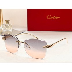 Cartier sunglasses