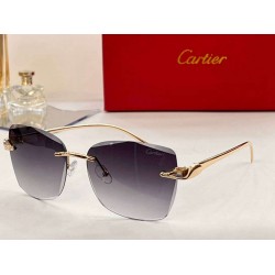 Cartier sunglasses