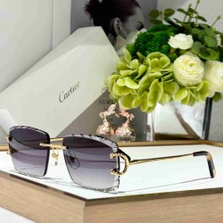 Cartier   sunglasses