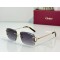 Cartier   sunglasses