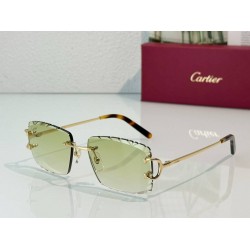 Cartier   sunglasses