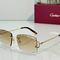 Cartier   sunglasses