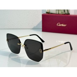 Cartier   sunglasses