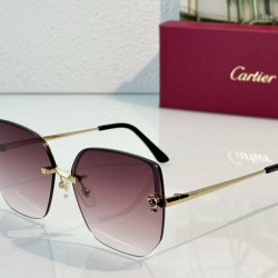 Cartier   sunglasses