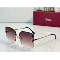 Cartier   sunglasses