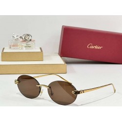 Cartier    sunglasses