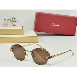 Cartier    sunglasses