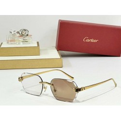 Cartier    sunglasses