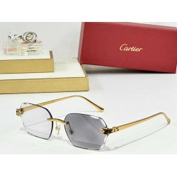 Cartier    sunglasses