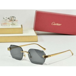 Cartier    sunglasses