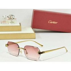 Cartier    sunglasses