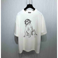 Dior T-shirt DIY0036