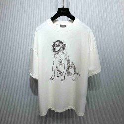 Dior T-shirt DIY0036