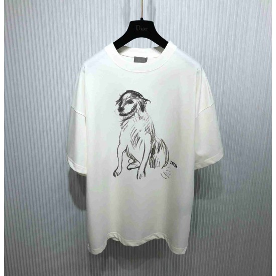 Dior T-shirt DIY0036