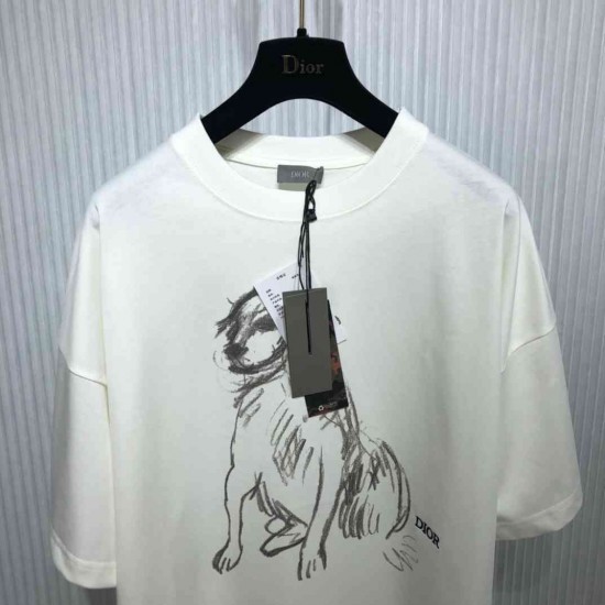 Dior T-shirt DIY0036