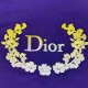 Dior T-shirt DIY0051