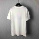 Dior    T Shirt DIY0325