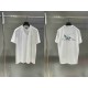 Dior T Shirt DIY0344 Dior T Shirt DIY0344