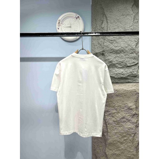 Dior T Shirt DIY0358 Dior T Shirt DIY0358