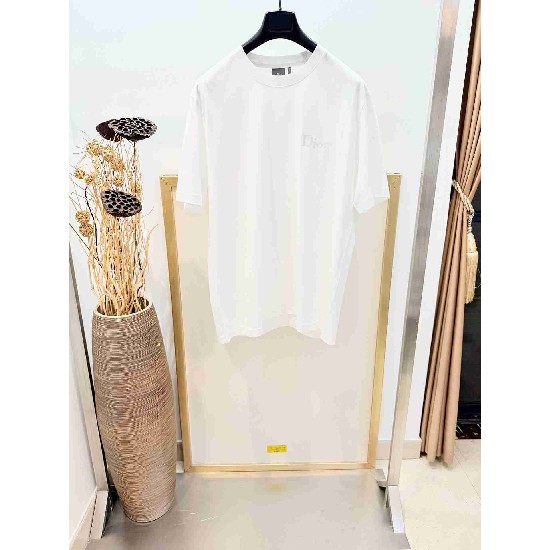 Dior       T Shirt DIY0383