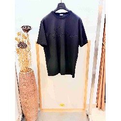 Dior       T Shirt DIY0387