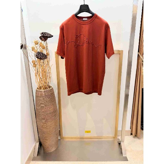 Dior       T Shirt DIY0389
