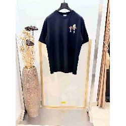 Dior       T Shirt DIY0391