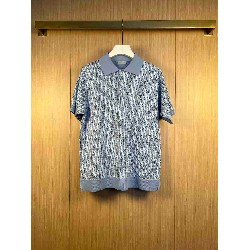 Dior        T Shirt DIY0384