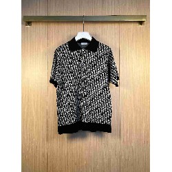 Dior        T Shirt DIY0385