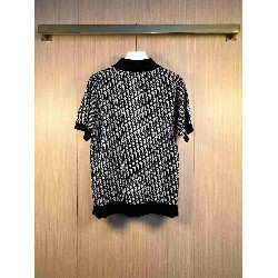 Dior        T Shirt DIY0385