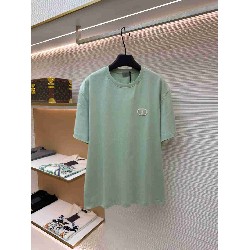Dior        T Shirt DIY0404