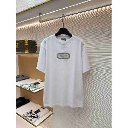 Dior        T Shirt DIY0405