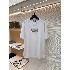 Dior        T Shirt DIY0405
