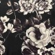DOLOE & GABBANA T Shirt DGY0004 DOLOE & GABBANA T Shirt DGY0004