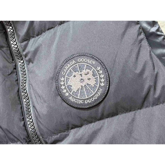 Canada Goose