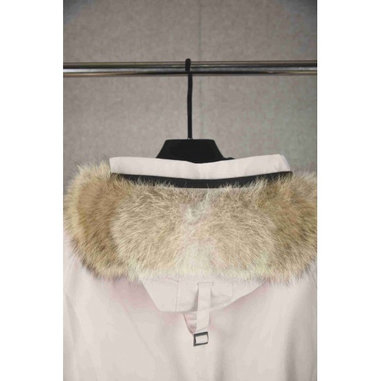 Canada Goose