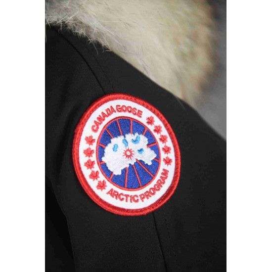 Canada Goose