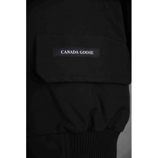Canada Goose