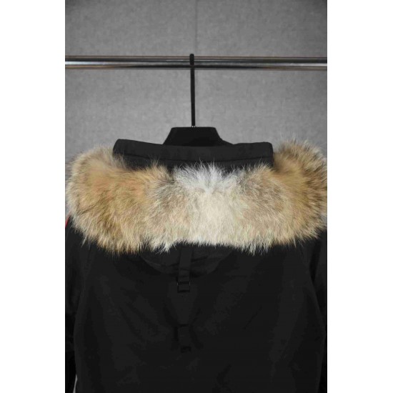 Canada Goose