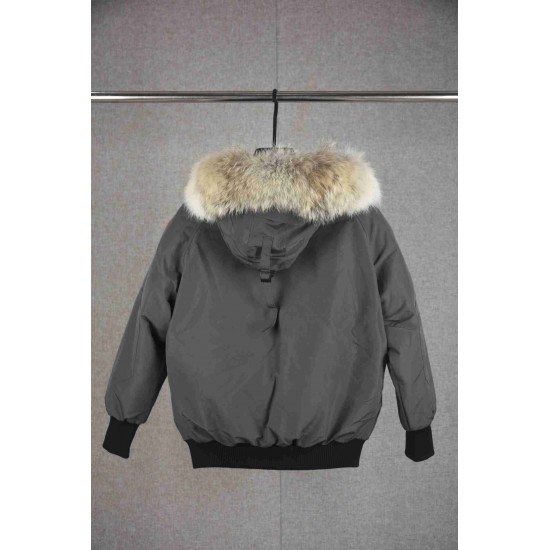 Canada Goose