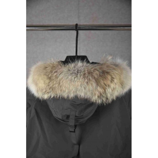 Canada Goose