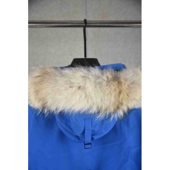 Canada Goose