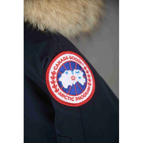 Canada Goose